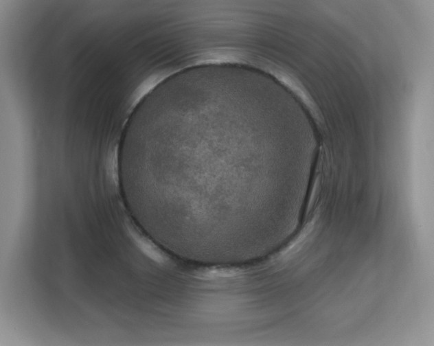 X0000113050842200909031330