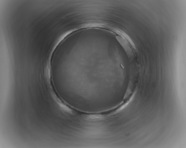 X0000113050844200909031330