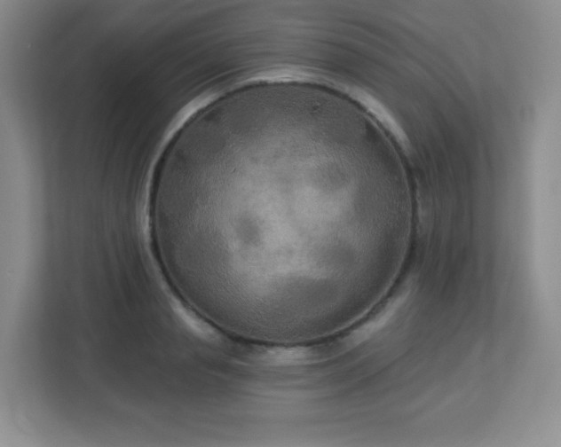 X0000113050845200909031330