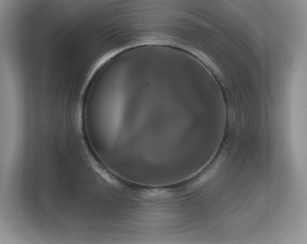 X0000113050846200909031330