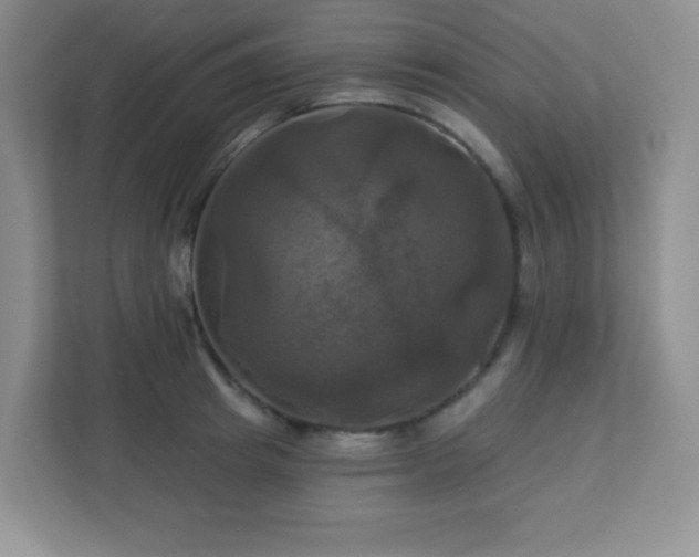 X0000113050849200909031330