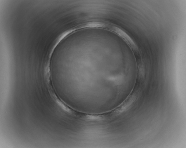 X0000113050852200909031330