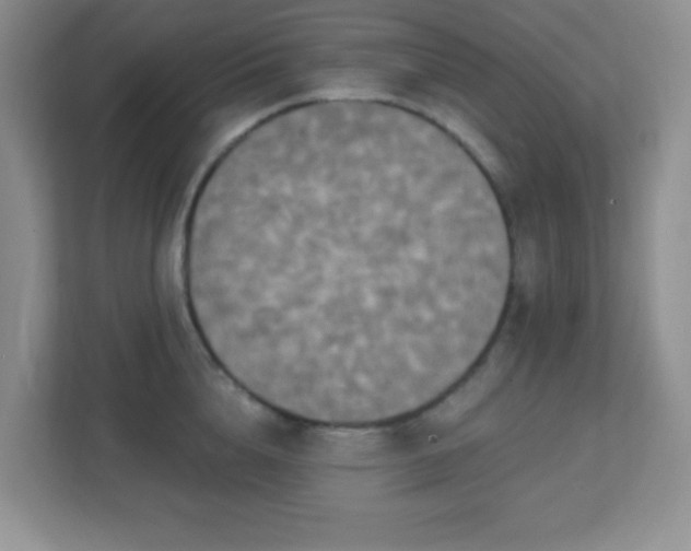 X0000113050856200909031330