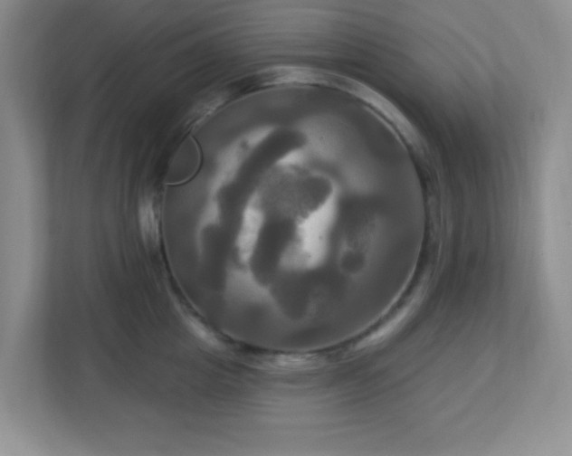 X0000113050857200909031330