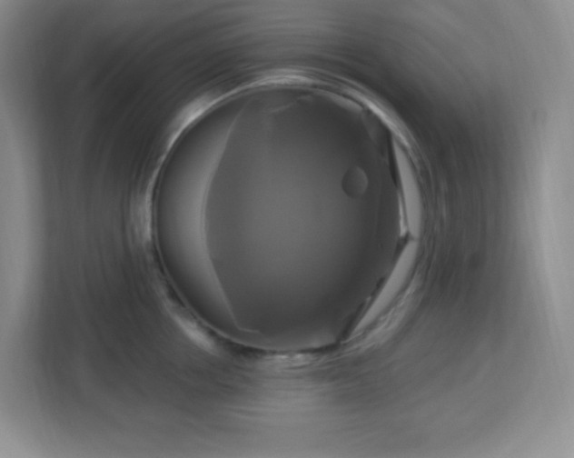 X0000113050858200909031330