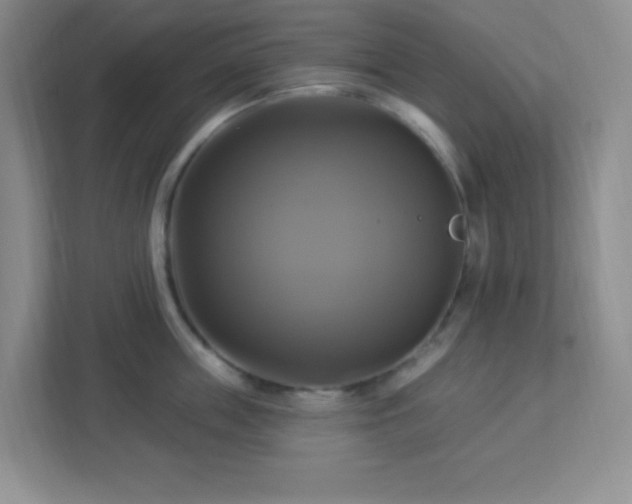 X0000113050859200909031330