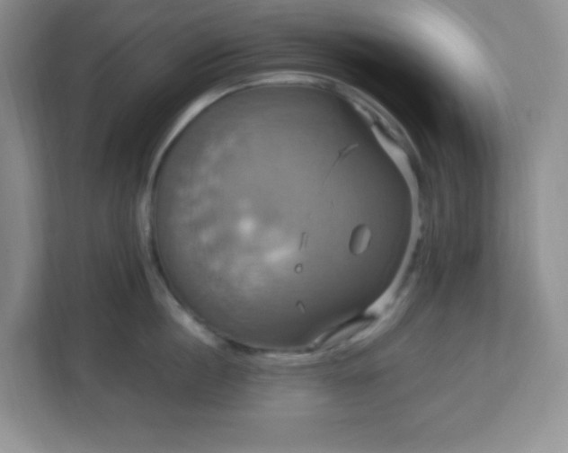 X0000113050860200909031330