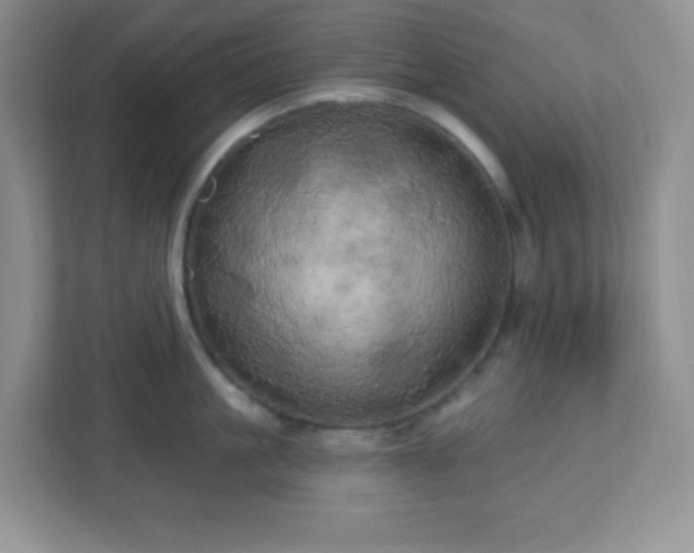 X0000113050861200909031330