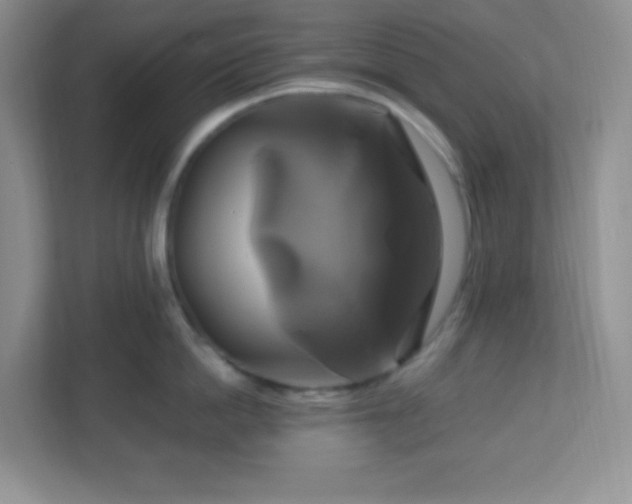 X0000113050862200909031330