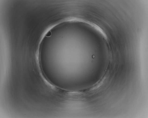 X0000113050863200909031330