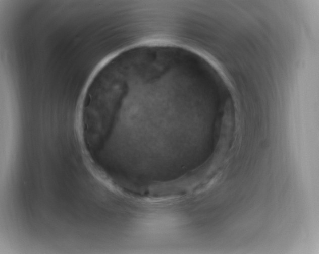 X0000113050864200909031330