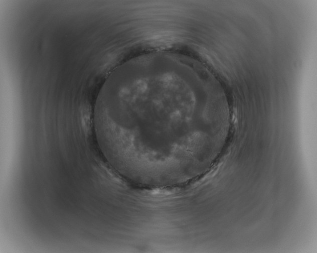 X0000113050867200909031330