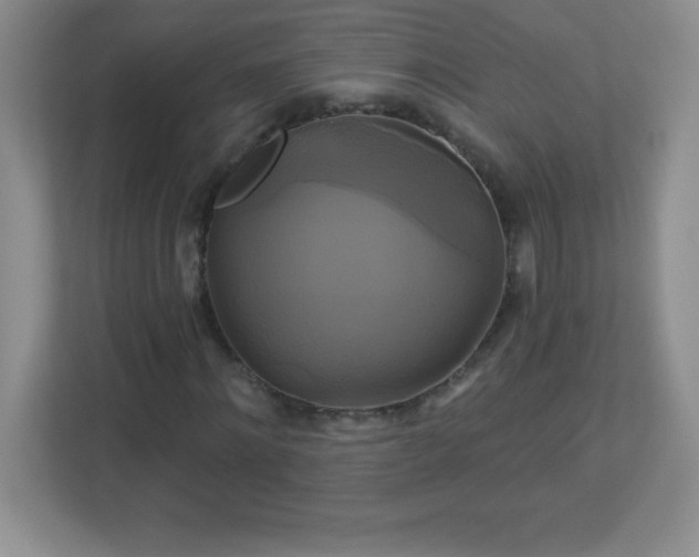 X0000113050868200909031330