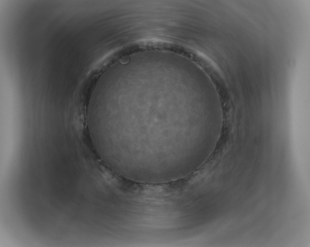 X0000113050870200909031330