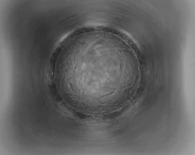 X0000113050871200909031330