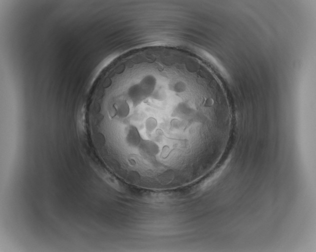 X0000113050875200909031330