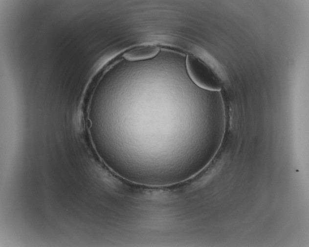 X0000113050876200909031330