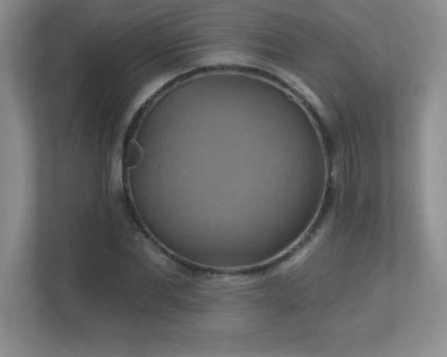 X0000113050877200909031330