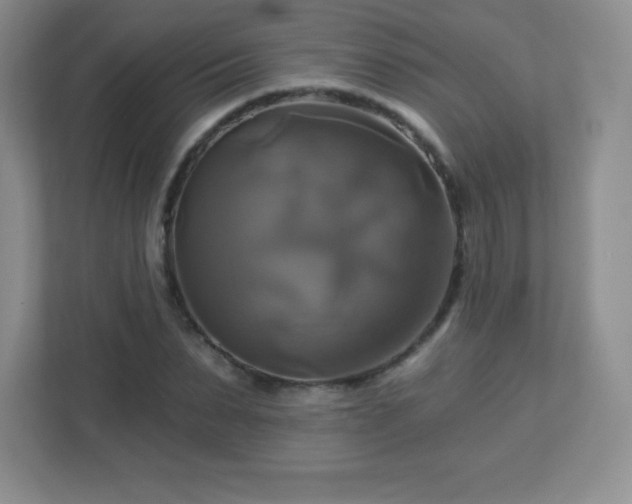 X0000113050879200909031330