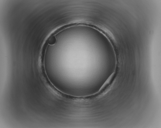 X0000113050880200909031330