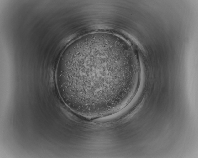 X0000113050881200909031330