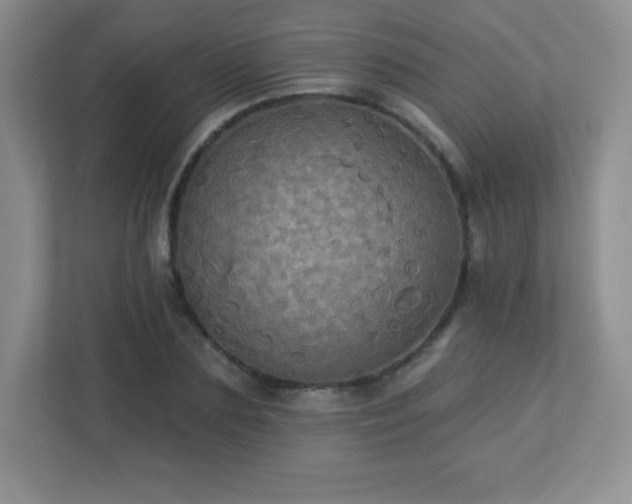 X0000113050883200909031330