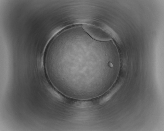 X0000113050884200909031330