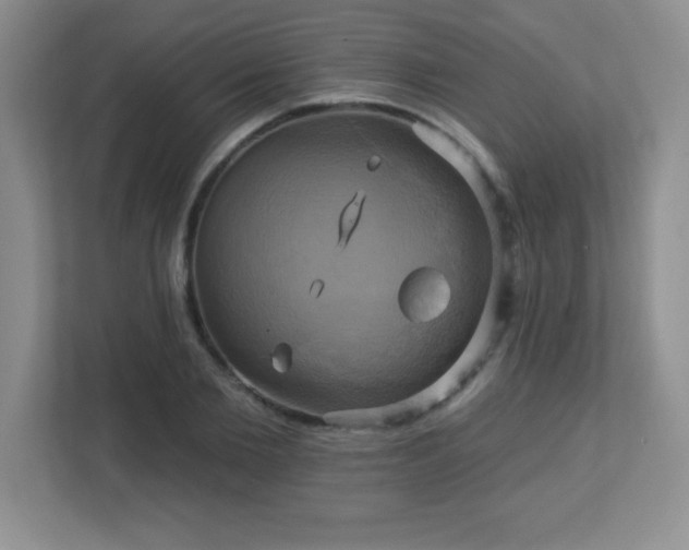 X0000113050885200909031330