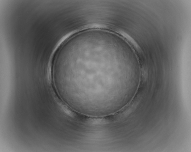 X0000113050886200909031329