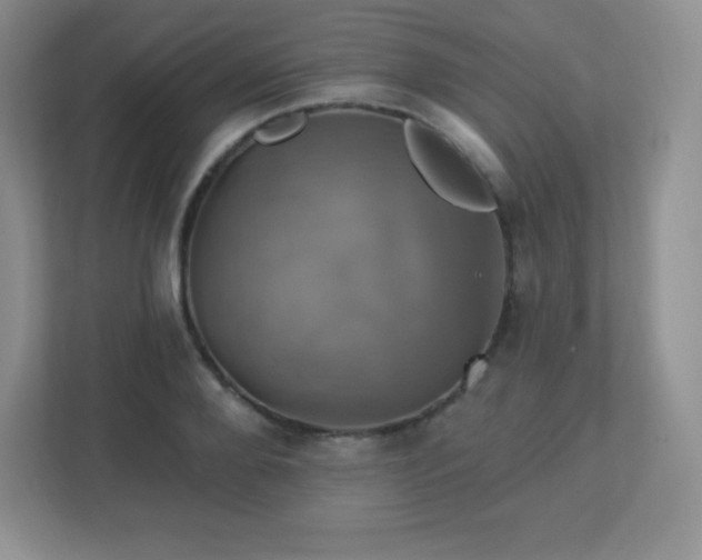 X0000113050888200909031329