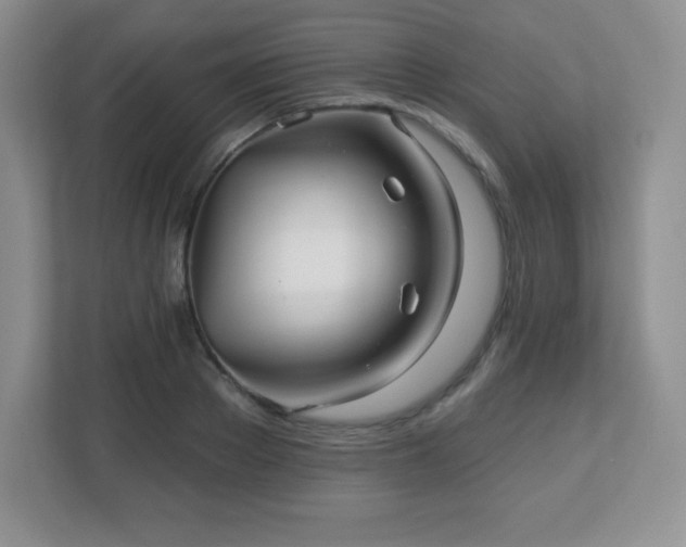 X0000113050889200909031329