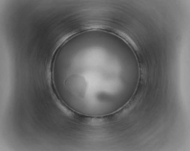 X0000113050890200909031329