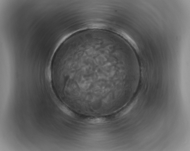 X0000113050891200909031329