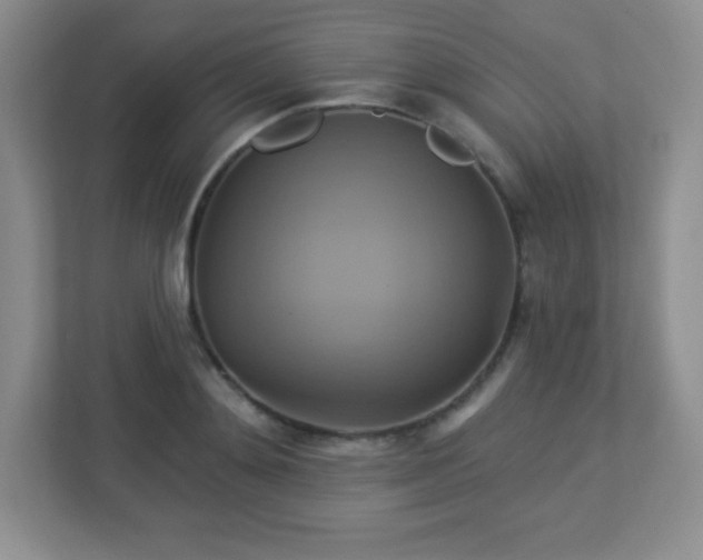 X0000113050892200909031329