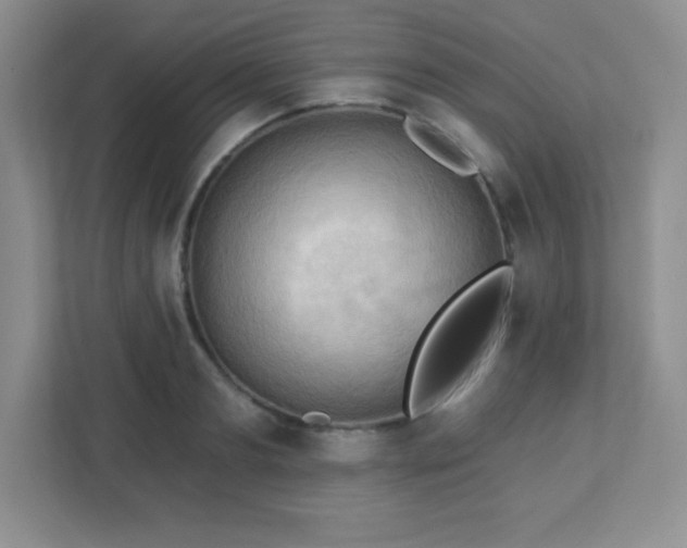 X0000113050893200909031329