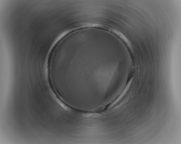 X0000113050894200909031329