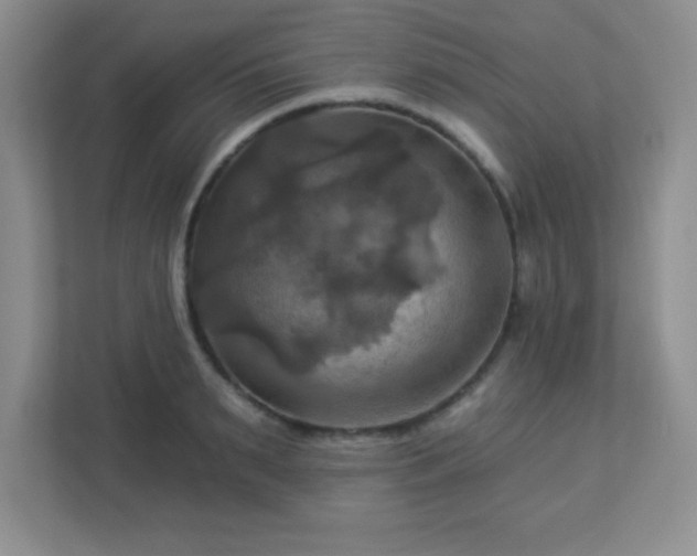 X0000113050895200909031329