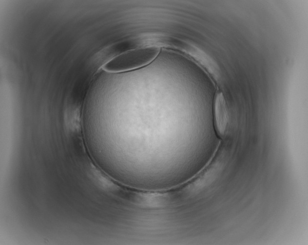 X0000113050897200909031329