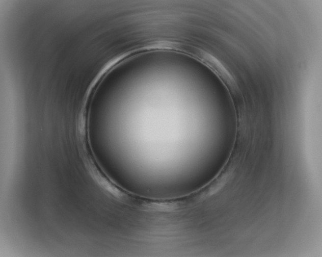 X0000113050900200909031329