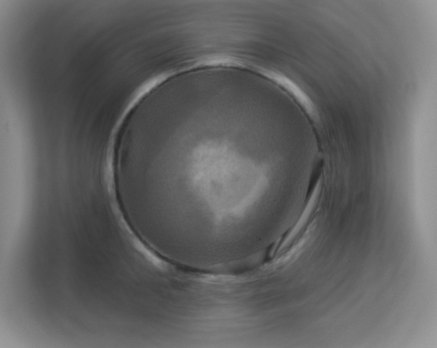 X0000113050902200909031329