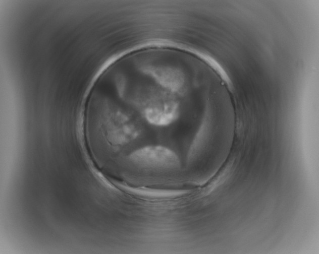 X0000113050903200909031329