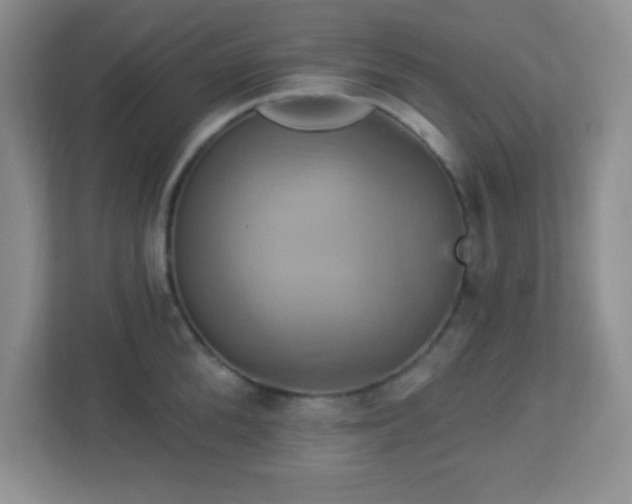 X0000113050904200909031329