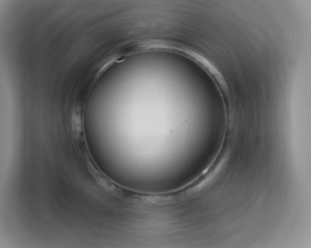 X0000113050905200909031329