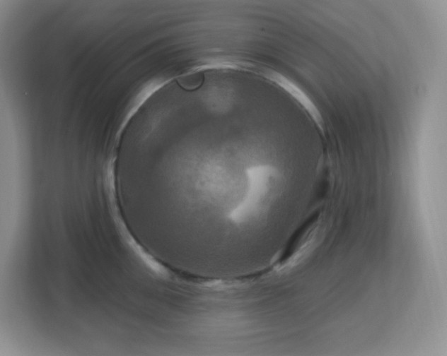 X0000113050906200909031329