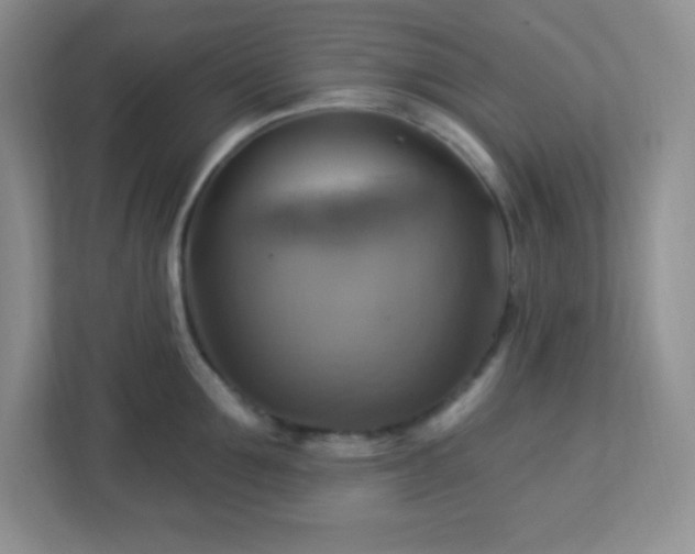 X0000113050907200909031329