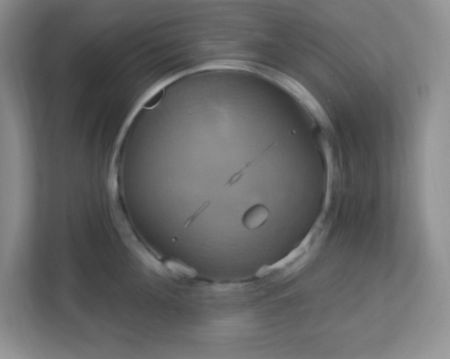 X0000113050908200909031329