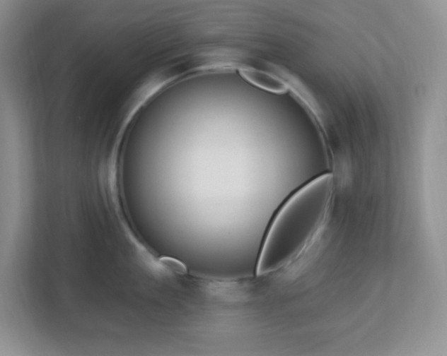 X0000113050909200909031329