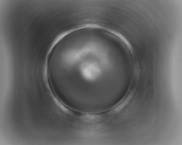 X0000113050910200909031329