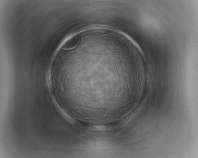 X0000113050911200909031329