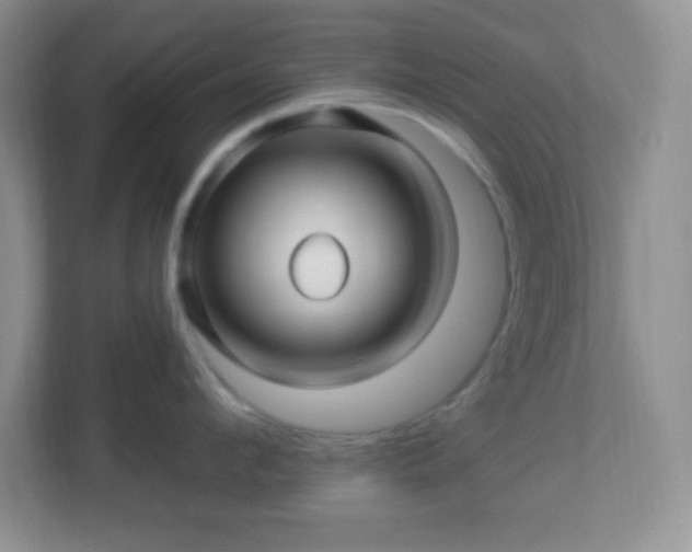 X0000113050912200909031329